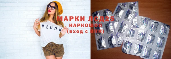 ECSTASY Белокуриха