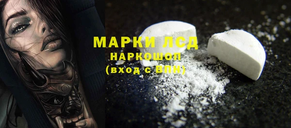 ECSTASY Белокуриха