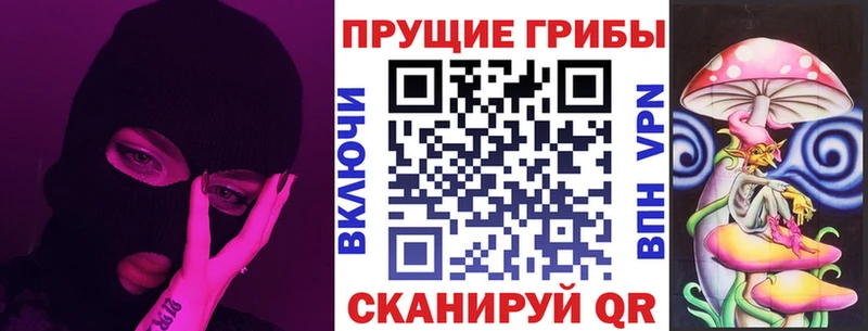 Псилоцибиновые грибы Psilocybine cubensis  где продают наркотики  Щёлкино 